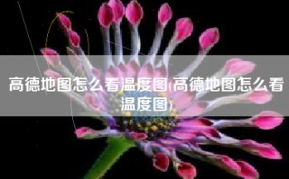 高德地图怎么看温度图(高德地图怎么看温度图)
