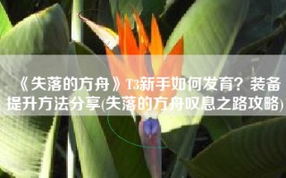 《失落的方舟》T3新手如何发育？装备提升方法分享(失落的方舟叹息之路攻略)