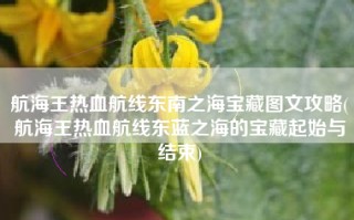 航海王热血航线东南之海宝藏图文攻略(航海王热血航线东蓝之海的宝藏起始与结束)