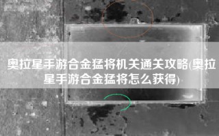 奥拉星手游合金猛将机关通关攻略(奥拉星手游合金猛将怎么获得)
