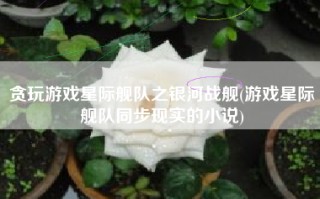 贪玩游戏星际舰队之银河战舰(游戏星际舰队同步现实的小说)