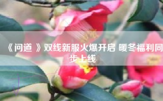 《问道 》双线新服火爆开启 暖冬福利同步上线