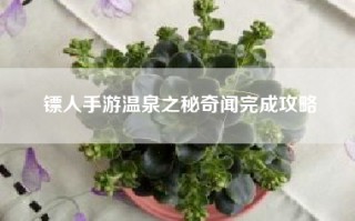 镖人手游温泉之秘奇闻完成攻略