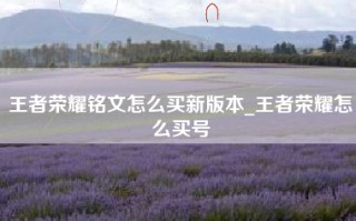 王者荣耀铭文怎么买新版本_王者荣耀怎么买号