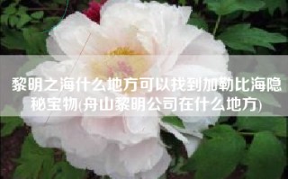 黎明之海什么地方可以找到加勒比海隐秘宝物(舟山黎明公司在什么地方)