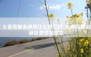 王者荣耀金蝉用什么铭文好_王者荣耀金蝉吸血装备铭文