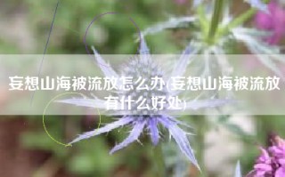 妄想山海被流放怎么办(妄想山海被流放有什么好处)