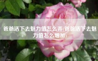 爸爸活下去魅力值怎么弄(爸爸活下去魅力值怎么增加)