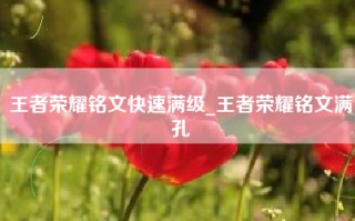 王者荣耀铭文快速满级_王者荣耀铭文满孔