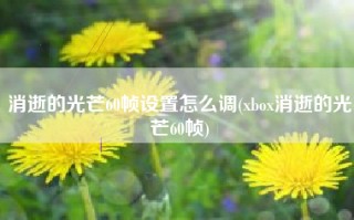 消逝的光芒60帧设置怎么调(xbox消逝的光芒60帧)
