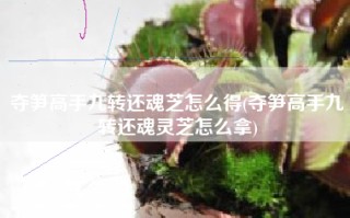 夺笋高手九转还魂芝怎么得(夺笋高手九转还魂灵芝怎么拿)