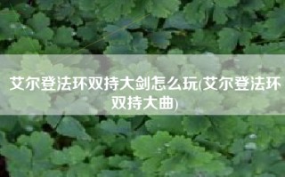 艾尔登法环双持大剑怎么玩(艾尔登法环双持大曲)