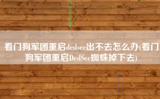 看门狗军团重启dedsec出不去怎么办(看门狗军团重启DedSec蜘蛛掉下去)