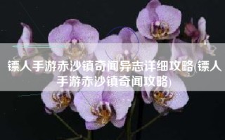 镖人手游赤沙镇奇闻异志详细攻略(镖人手游赤沙镇奇闻攻略)