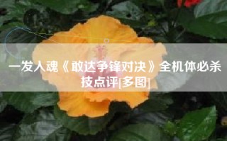 一发入魂《敢达争锋对决》全机体必杀技点评[多图]