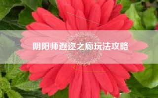 阴阳师遐迩之廊玩法攻略