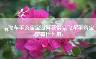 qq飞车手游宝宝如何获得(qq飞车手游宝宝有什么用)