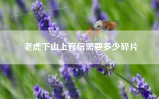 老虎下山上官信需要多少碎片