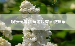 娱乐玩游戏,玩游戏有人说娱乐