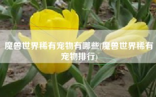 魔兽世界稀有宠物有哪些(魔兽世界稀有宠物排行)