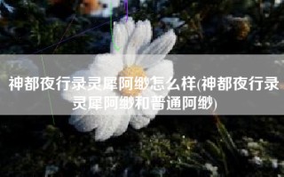 神都夜行录灵犀阿缈怎么样(神都夜行录灵犀阿缈和普通阿缈)