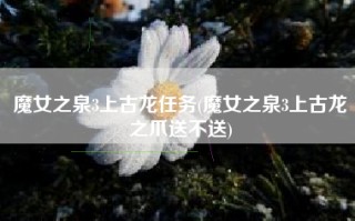 魔女之泉3上古龙任务(魔女之泉3上古龙之爪送不送)