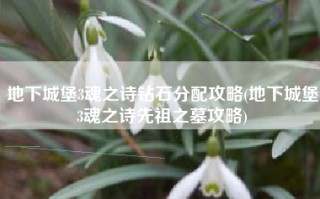 地下城堡3魂之诗钻石分配攻略(地下城堡3魂之诗先祖之墓攻略)