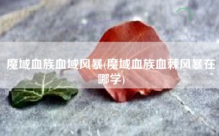 魔域血族血域风暴(魔域血族血棘风暴在哪学)