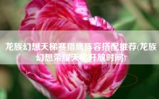 龙族幻想天梯赛猎鹰阵容搭配推荐(龙族幻想荣耀天梯开放时间)