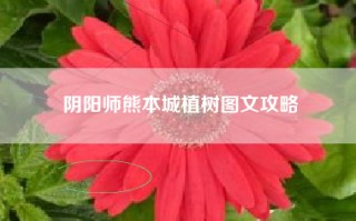 阴阳师熊本城植树图文攻略