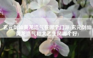 玄元剑仙黄龙浩气在哪个门派(玄元剑仙黄龙浩气和太乙生风哪个好)