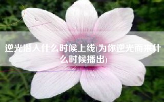 逆光潜入什么时候上线(为你逆光而来什么时候播出)