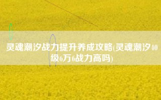 灵魂潮汐战力提升养成攻略(灵魂潮汐40级6万6战力高吗)