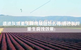 遗迹灰烬重生腐蚀项链怎么得(遗迹灰烬重生腐蚀效果)