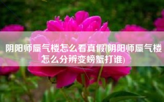 阴阳师蜃气楼怎么看真假(阴阳师蜃气楼怎么分辨变螃蟹打谁)