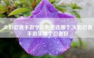 火影忍者手游宁次和兜选哪个,火影忍者手游买哪个忍者好