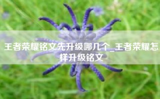 王者荣耀铭文先升级哪几个_王者荣耀怎样升级铭文