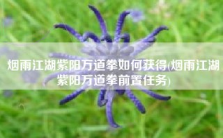 烟雨江湖紫阳万道拳如何获得(烟雨江湖紫阳万道拳前置任务)