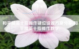 和平精英十指操作键位设置方案分享(和平精英十指操作教学)