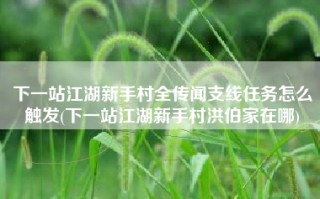 下一站江湖新手村全传闻支线任务怎么触发(下一站江湖新手村洪伯家在哪)
