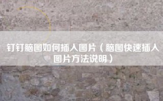 钉钉脑图如何插入图片（脑图快速插入图片方法说明）