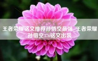 王者荣耀铭文推荐孙悟空最强_王者荣耀孙悟空376铭文出装