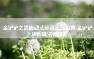 金铲铲之战幽魂法师第三关攻略(金铲铲之战幽魂法师攻略)