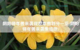 阴阳师年兽来袭现世年兽划分一览(阴阳师年兽来袭集结地)
