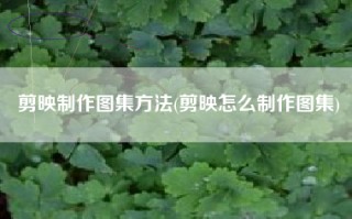剪映制作图集方法(剪映怎么制作图集)