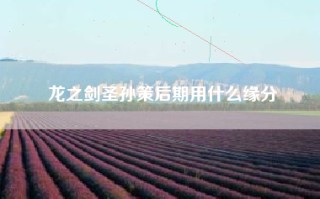 龙之剑圣孙策后期用什么缘分