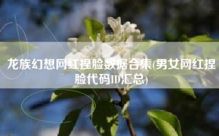 龙族幻想网红捏脸数据合集(男女网红捏脸代码ID汇总)