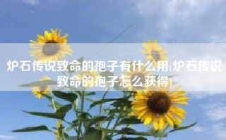 炉石传说致命的孢子有什么用(炉石传说致命的孢子怎么获得)