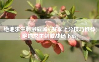 绝地求生刺激战场S5赛季上分技巧推荐(绝地求生刺激战场下载)