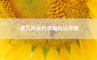 第九所冻伤供暖玩法攻略